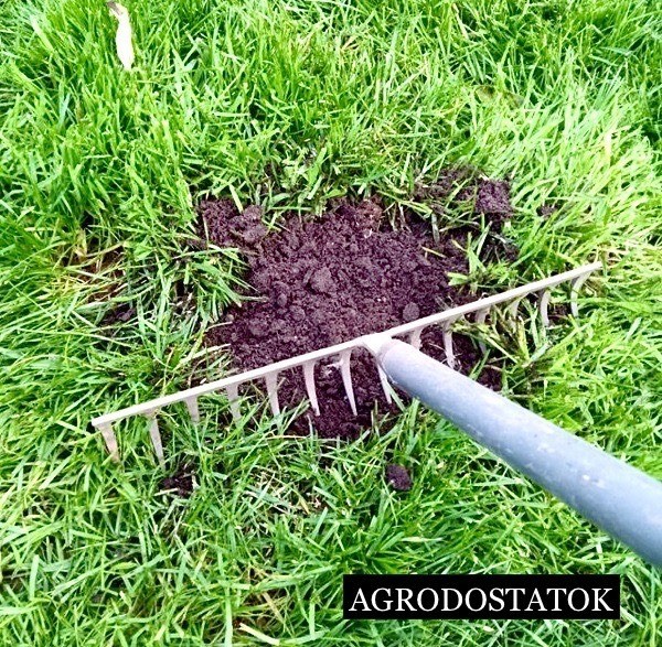Посів ремонтного газону